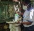 Saúde segue com ações contra o Aedes aegypti neste fim de semana em Salvador