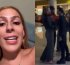 Malévola, Soso Careca e MC Paiva: veja como começou a confusão que terminou em agressões
